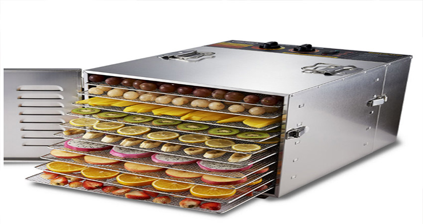 انتخاب بهترین میوه خشک کن برای کسب و کار شما