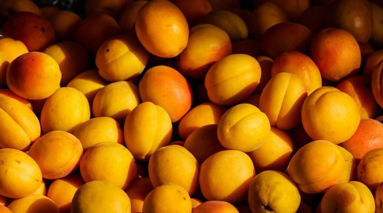 apricots