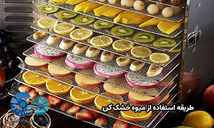 طریقه استفاده از میوه خشک کن