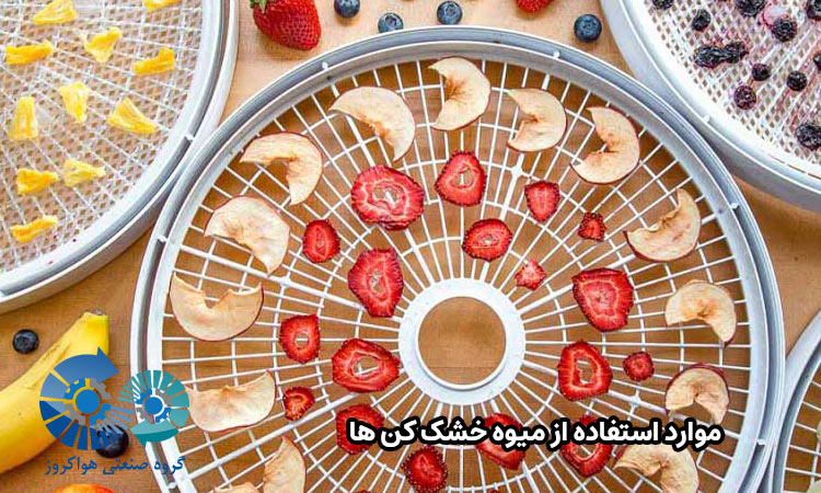 موارد استفاده از میوه خشک کن ها