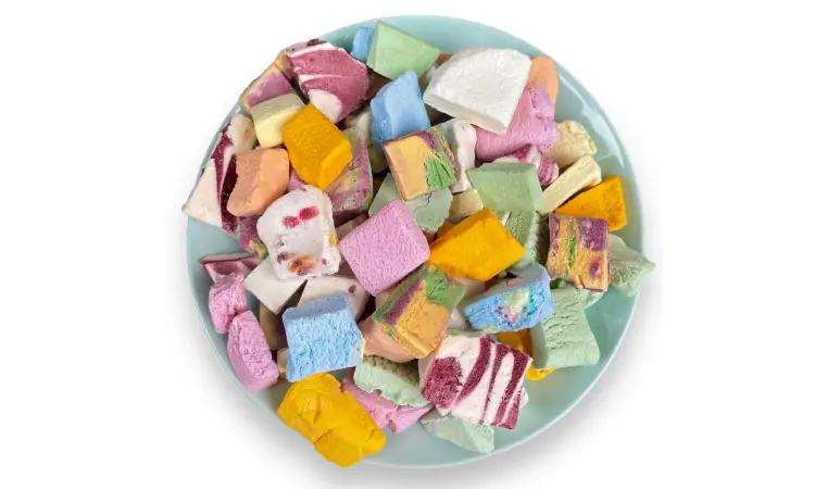 انواع بستنی خشک