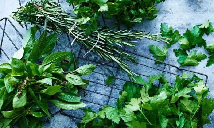 آیا می توان سبزی، گوشت و سایر مواد غذایی را با میوه خشک کن خشک کرد؟